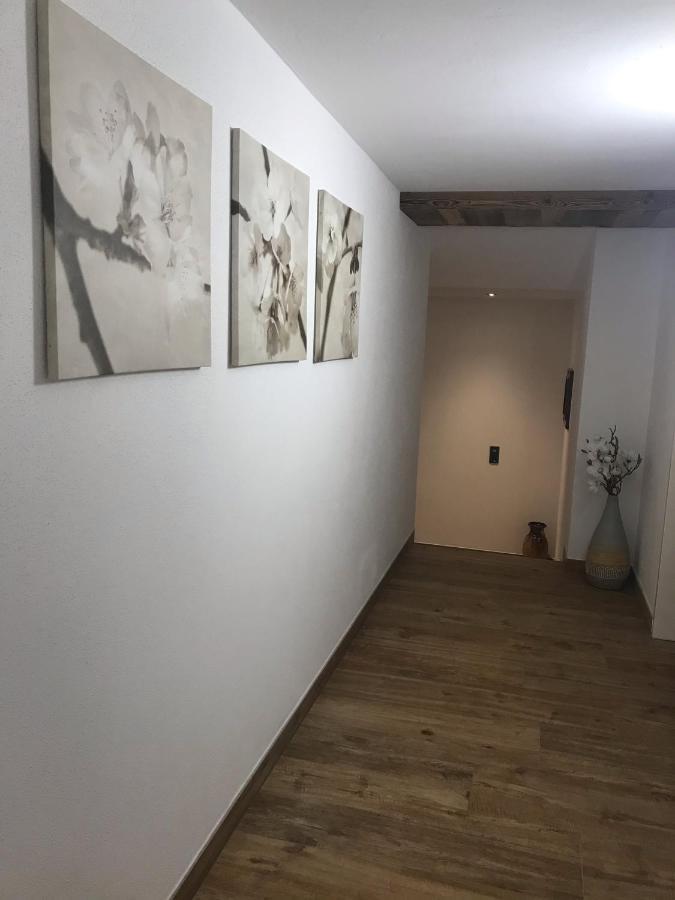 Fritzl Apartamento Wagrain