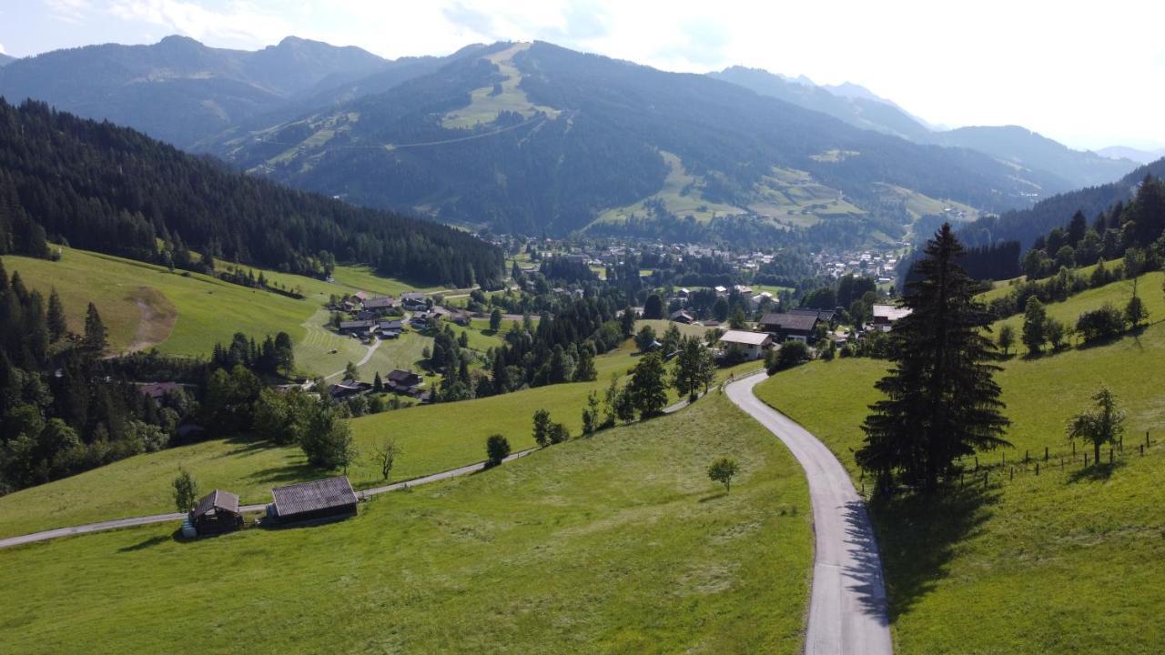 Fritzl Apartamento Wagrain